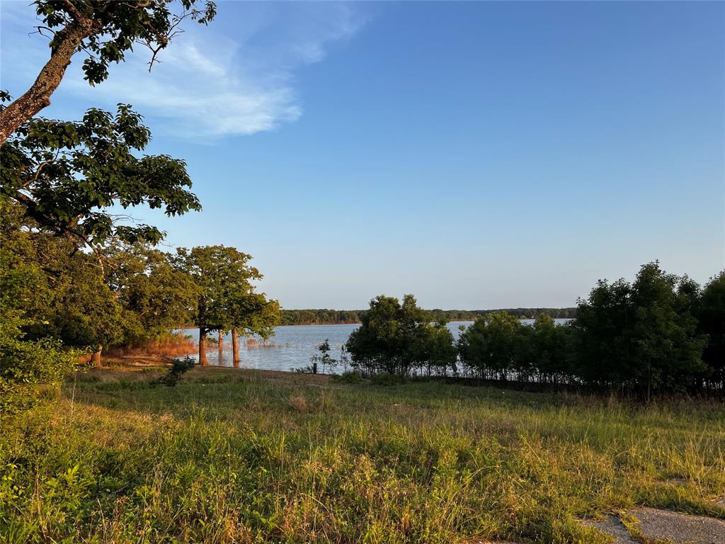1036 Paradise Cove Road Pottsboro, TX 75076 - Photo 28 of 40 a view of a lake with houses