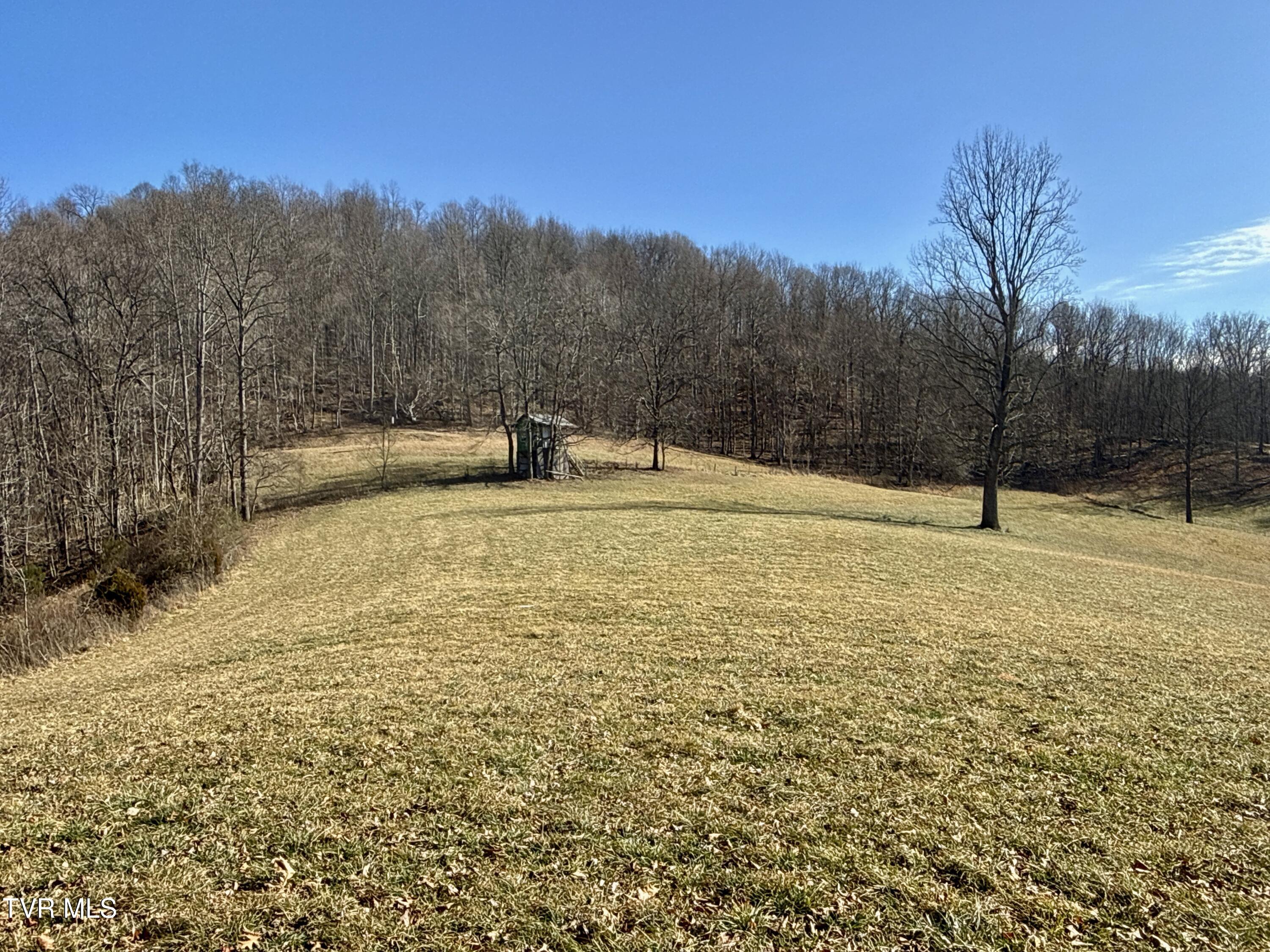 219 Ridge Road Eidson, TN 37731 - Photo 59 of 72 _Pic48 (12)