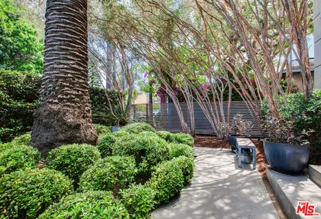 a view of a backyard with sitting area and potted plants