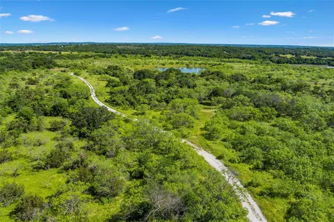 a view of a lush green space
