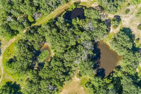 a view of a lake from a yard