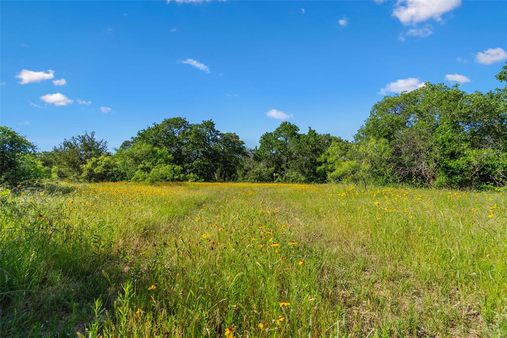 Tbd Adell Weatherford, TX 76088 - Photo 24 of 39 a view of outdoor space and yard