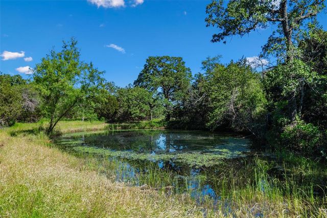 a view of a garden with a lake