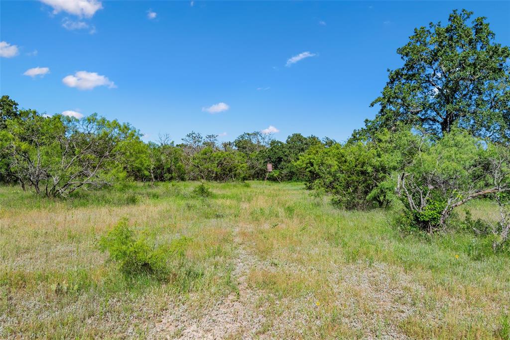 Tbd Adell Weatherford, TX 76088 - Photo 29 of 39 a view of a garden with a lake