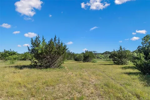 a view of a big yard with large trees