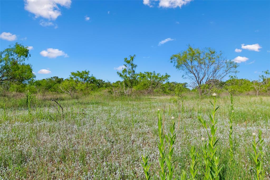 Tbd Adell Weatherford, TX 76088 - Photo 35 of 39 a view of a garden