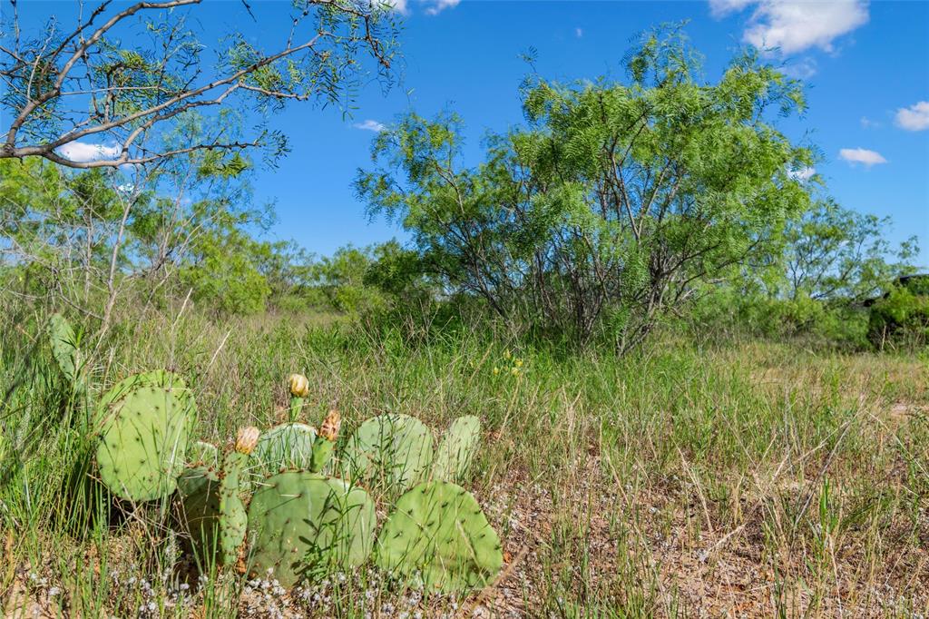 Tbd Adell Weatherford, TX 76088 - Photo 36 of 39 a view of a garden