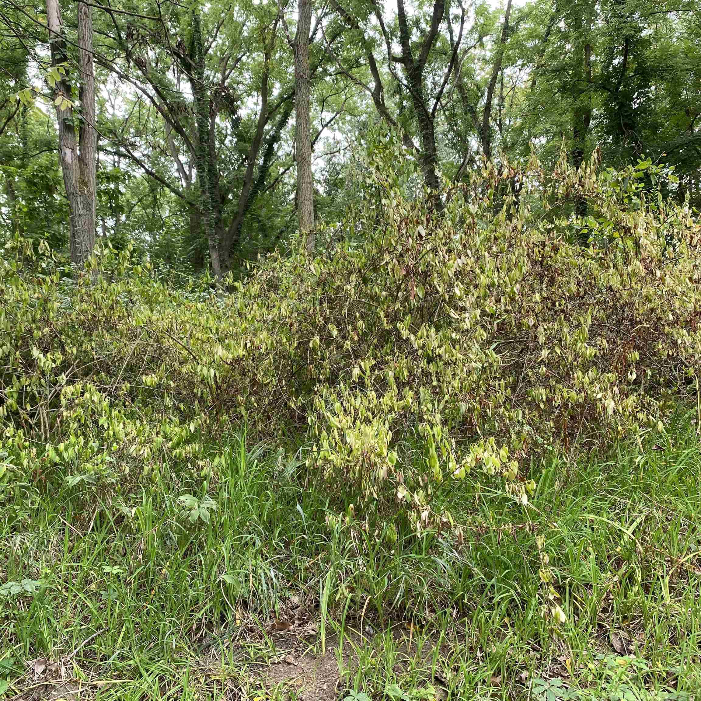 825 North E (state Line Road) Howe, IN 46746 - Photo 3 of 3 Gallery Image 3