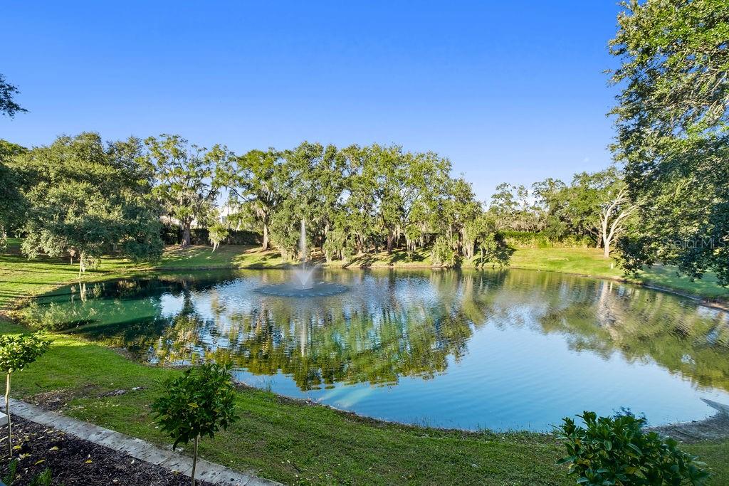 9725 Chestnut Ridge Drive Windermere, FL 34786 - Photo 7 of 55 a view of a lake with houses in the back