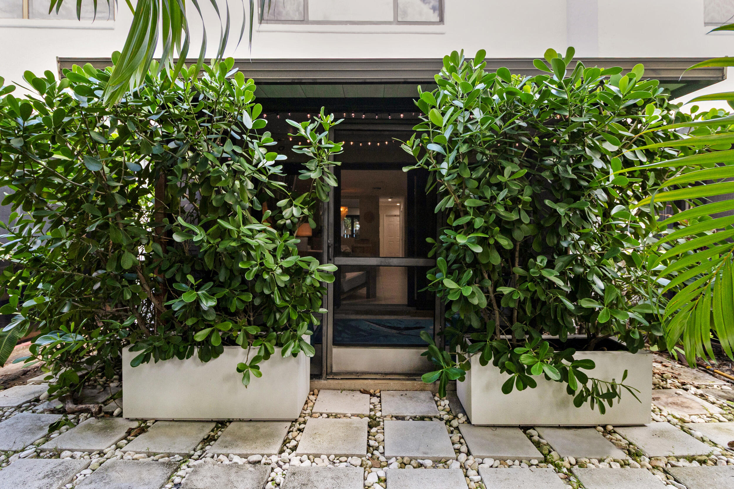 2136 Northeast 44th Street, Unit 4 Lighthouse Point, FL 33064 - Photo 43 of 51 a view of a potted plants next to a building