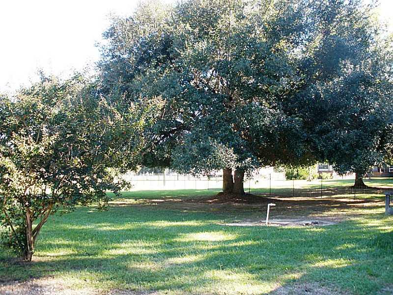 28800 George White Road Holden, LA 70744 - Photo 24 of 24 Gallery Image 24