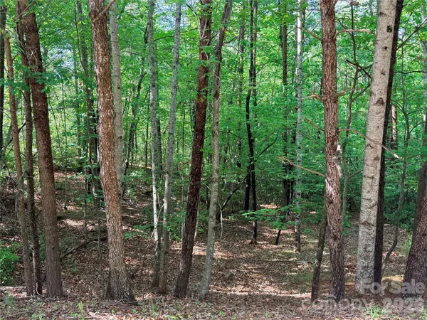 $5,000 | 0 McDaniel Court, Lake Lure, NC 28746