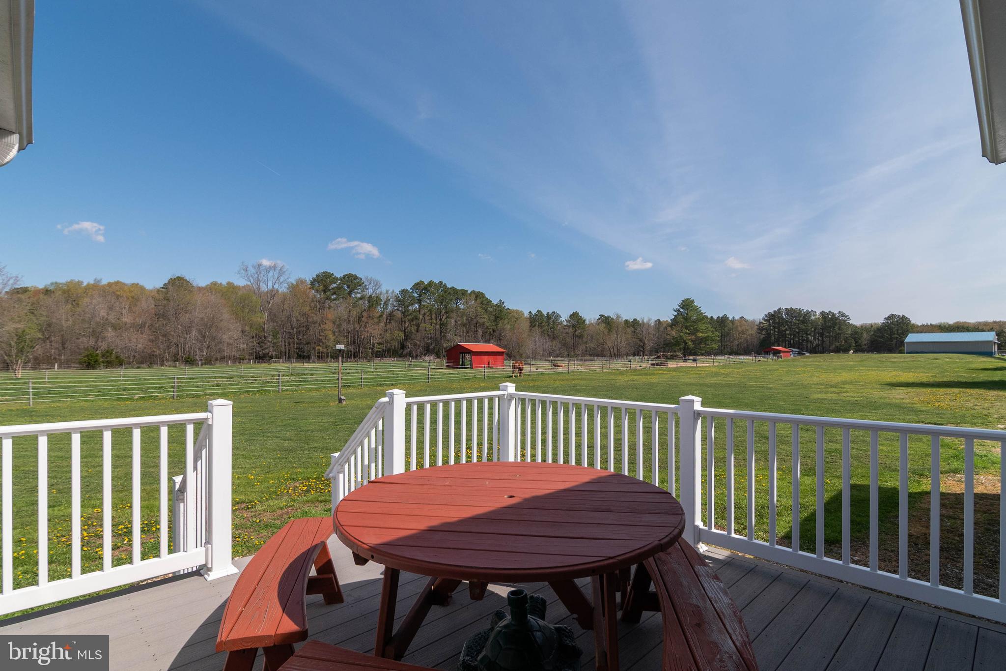 585 Vernon Road Harrington, DE 19952 - Photo 48 of 61