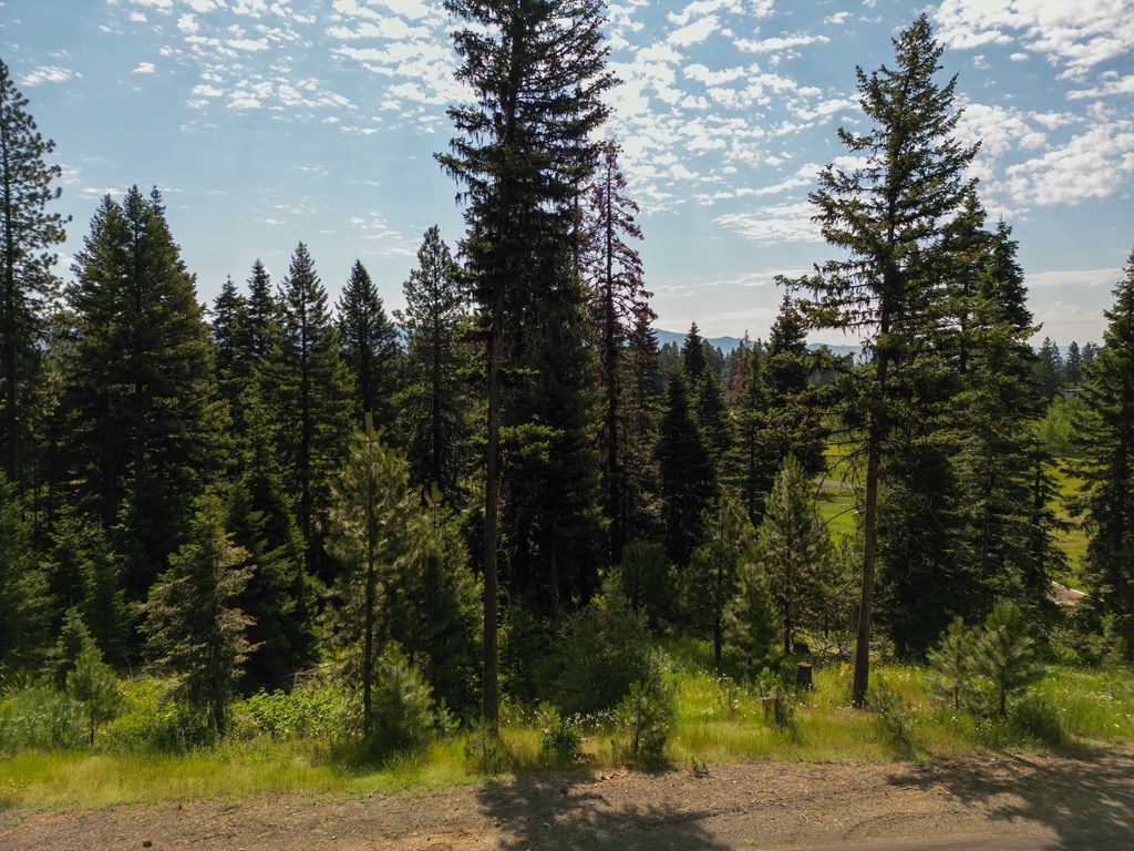 4625 Williams Creek Loop, Unit 96 McCall, ID 83638 - Photo 2 of 4