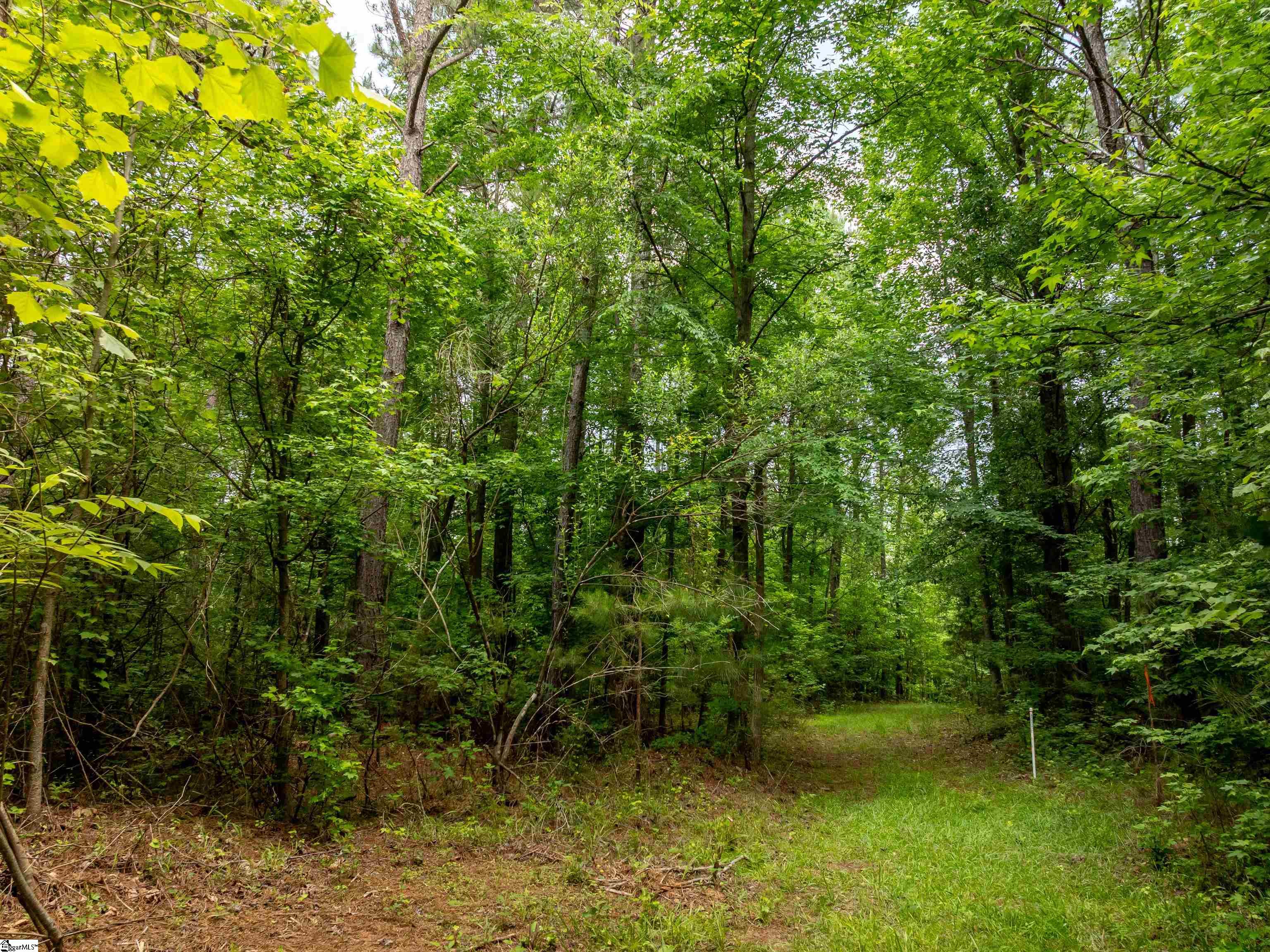 0 Elford Grove Road, Unit TRACT 6 Jonesville, SC 29353 - Photo 12 of 23