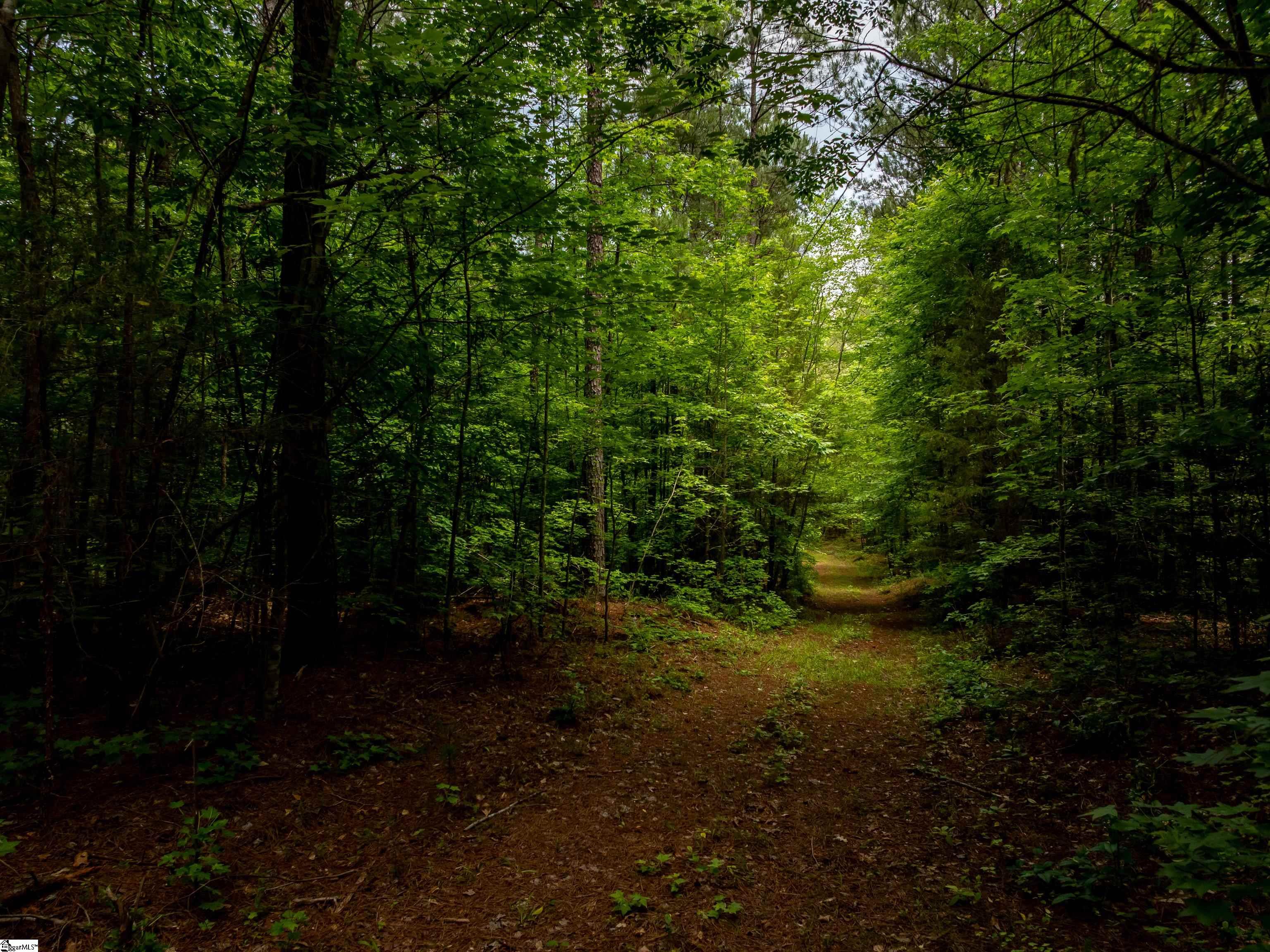 0 Elford Grove Road, Unit TRACT 6 Jonesville, SC 29353 - Photo 13 of 23