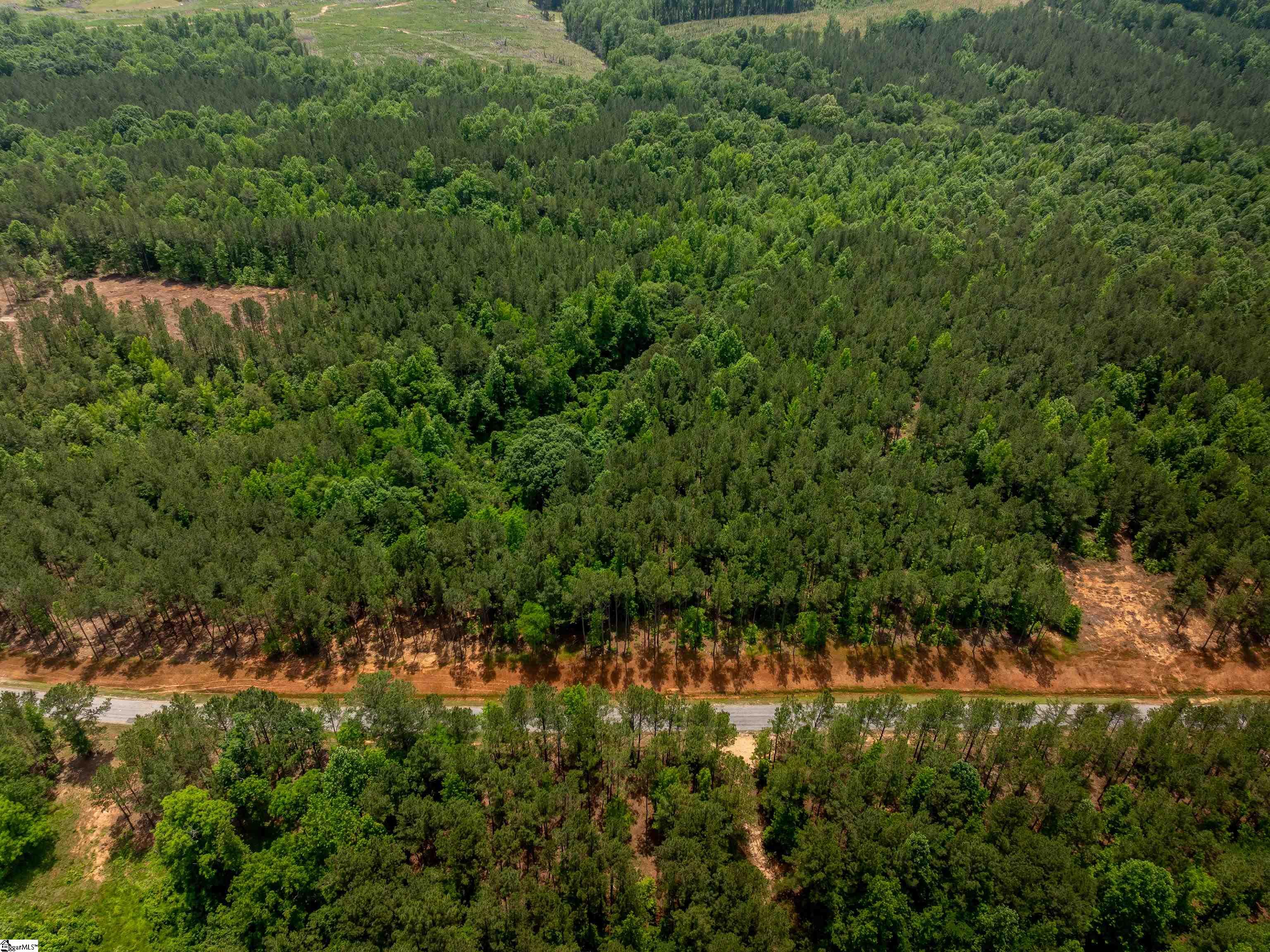 0 Elford Grove Road, Unit TRACT 6 Jonesville, SC 29353 - Photo 16 of 23