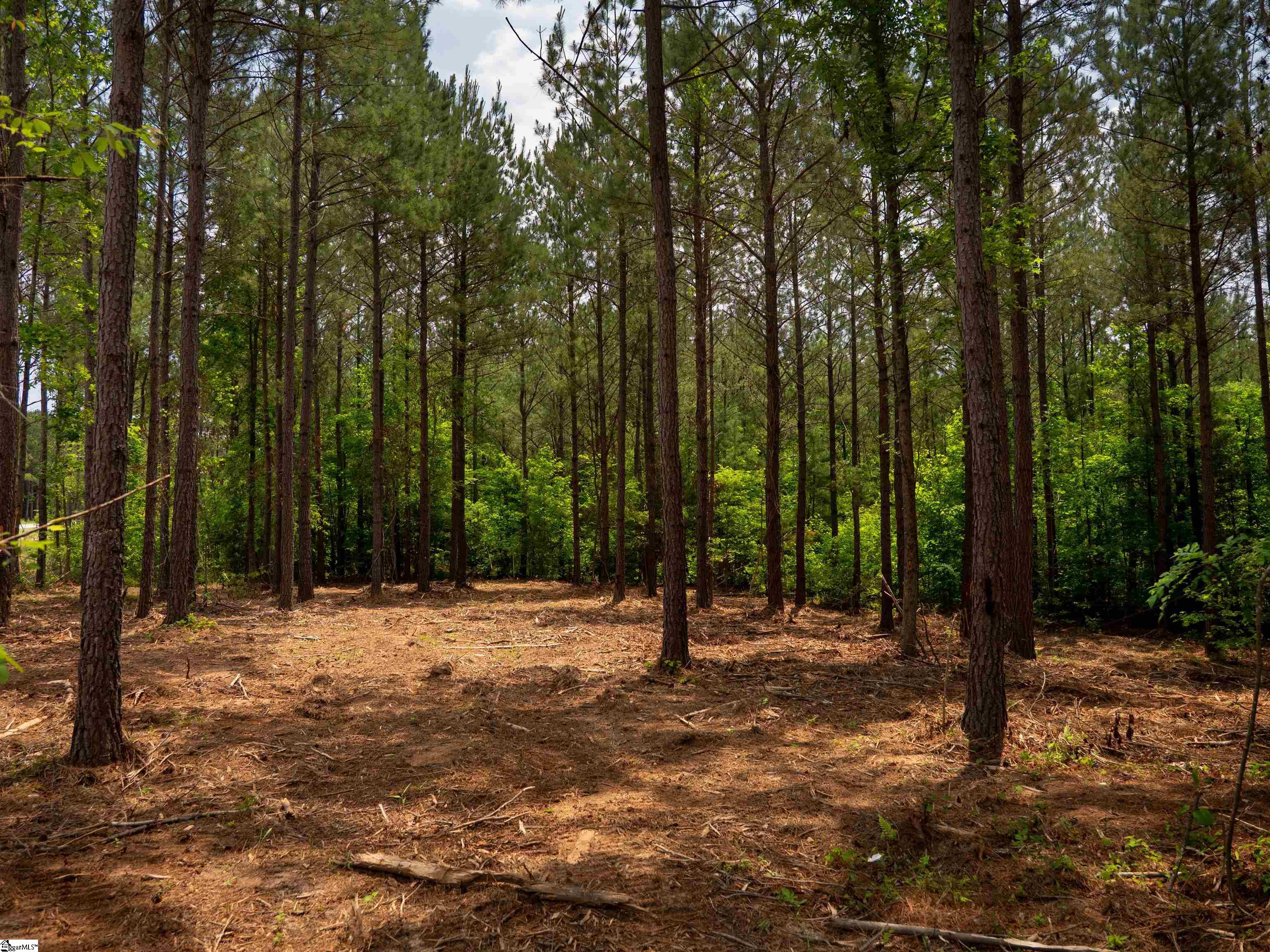 0 Elford Grove Road, Unit TRACT 6 Jonesville, SC 29353 - Photo 21 of 23