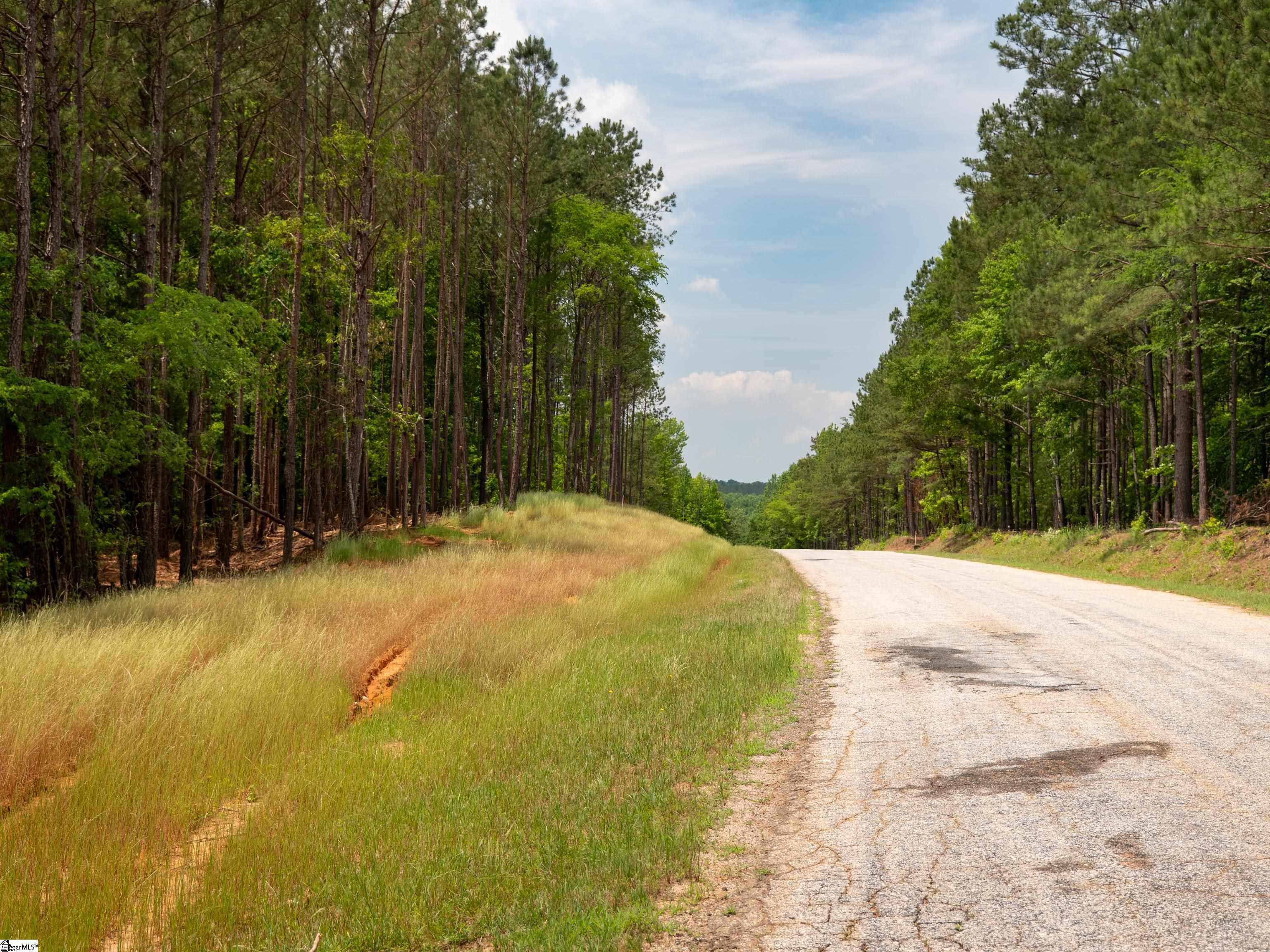 0 Elford Grove Road, Unit TRACT 6 Jonesville, SC 29353 - Photo 22 of 23