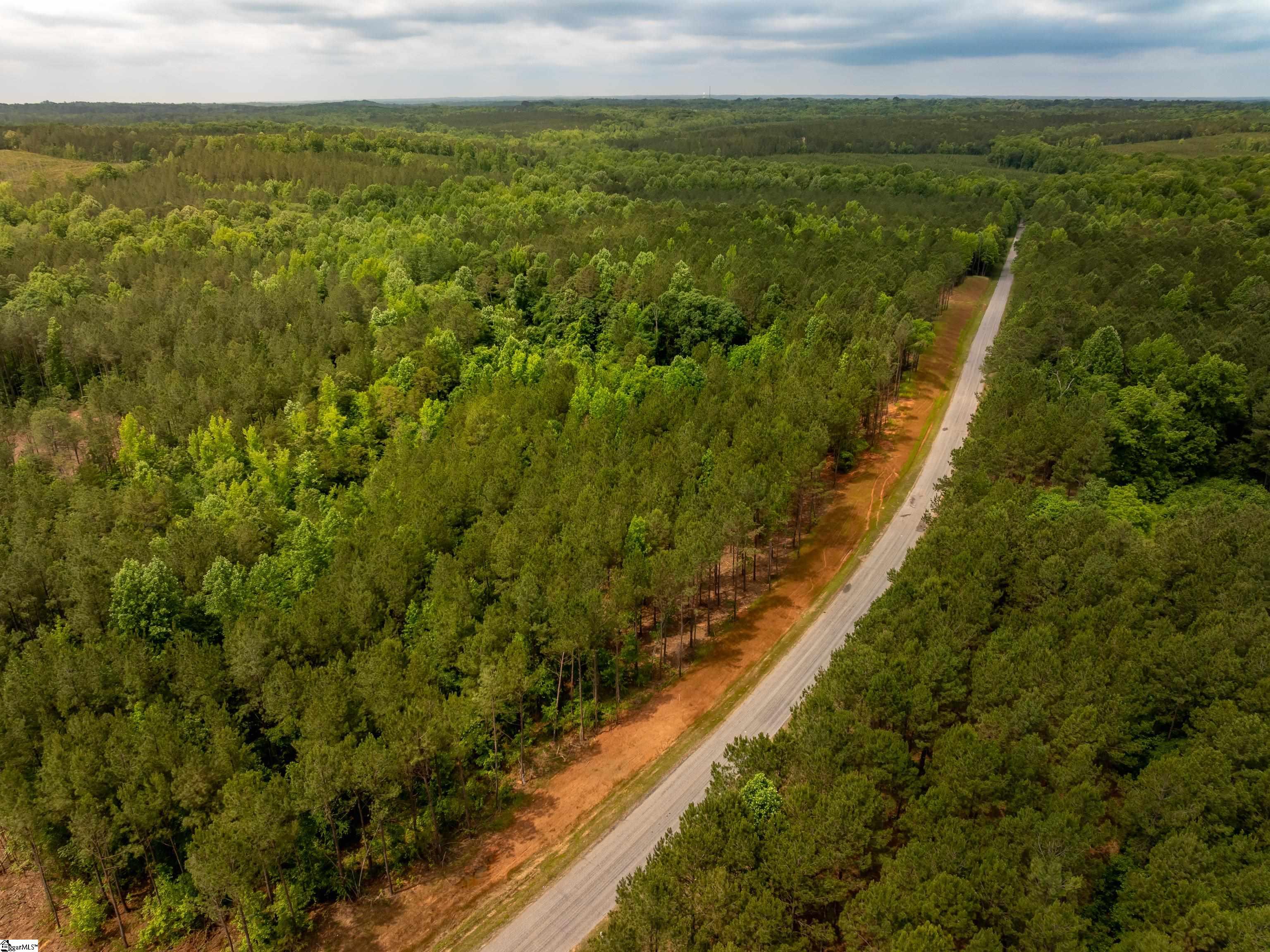 0 Elford Grove Road, Unit TRACT 6 Jonesville, SC 29353 - Photo 7 of 23