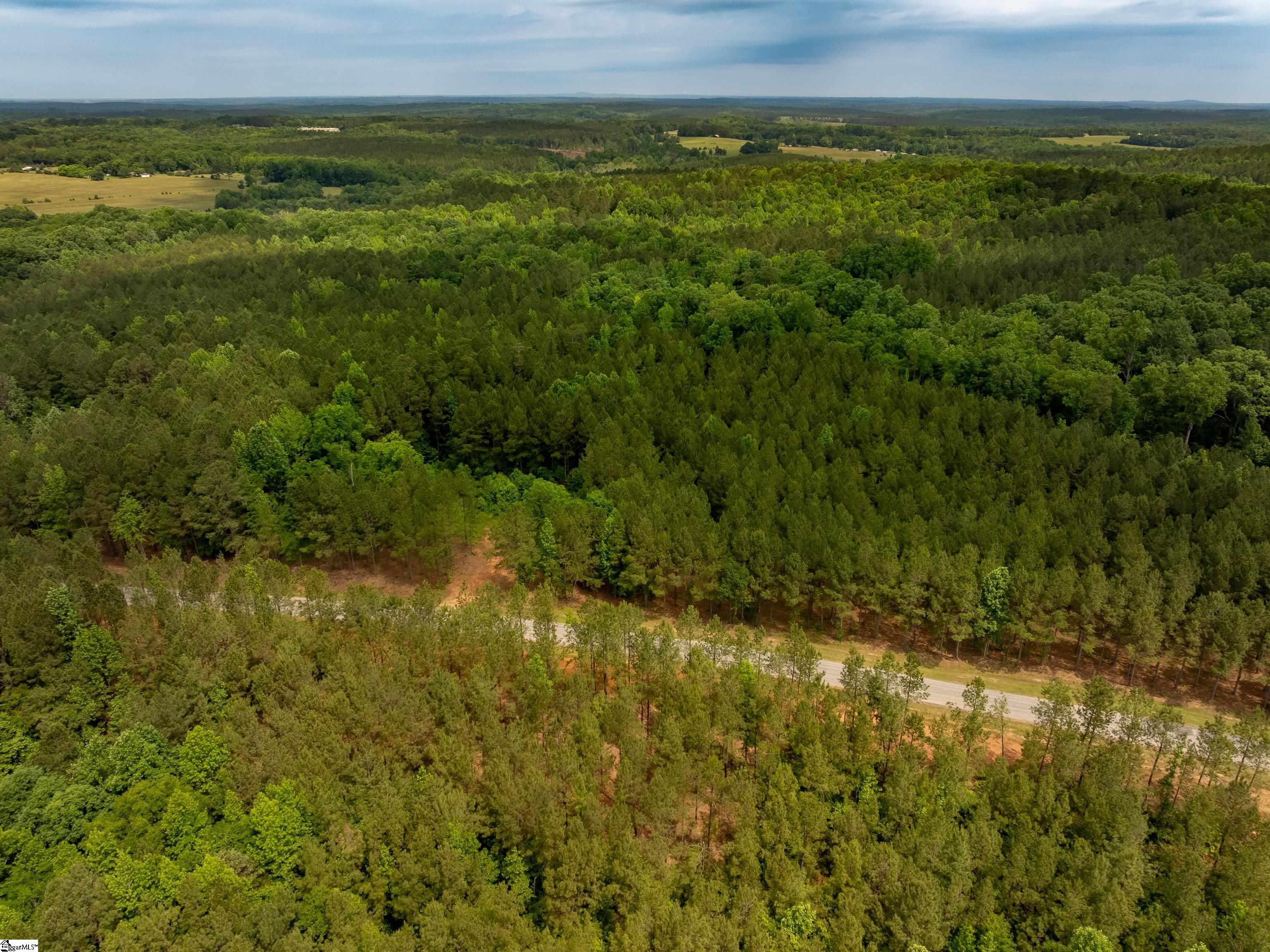 0 Elford Grove Road, Unit TRACT 6 Jonesville, SC 29353 - Photo 8 of 23