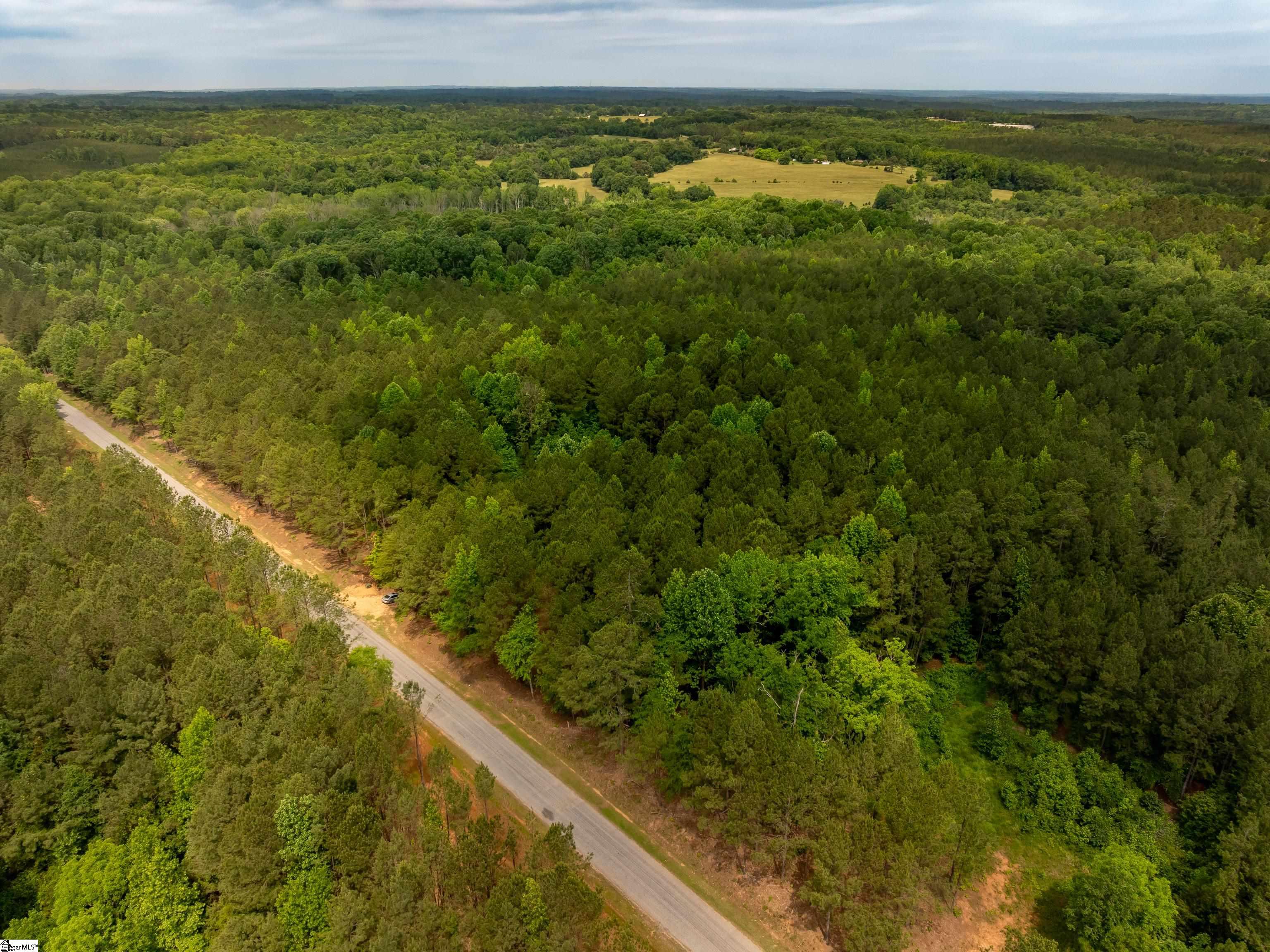 0 Elford Grove Road, Unit TRACT 6 Jonesville, SC 29353 - Photo 9 of 23