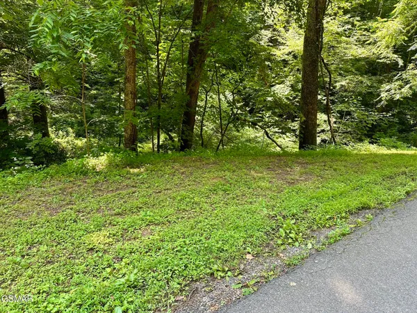 $39,500 | 706 School House Gap Road, Sevierville, TN 37876