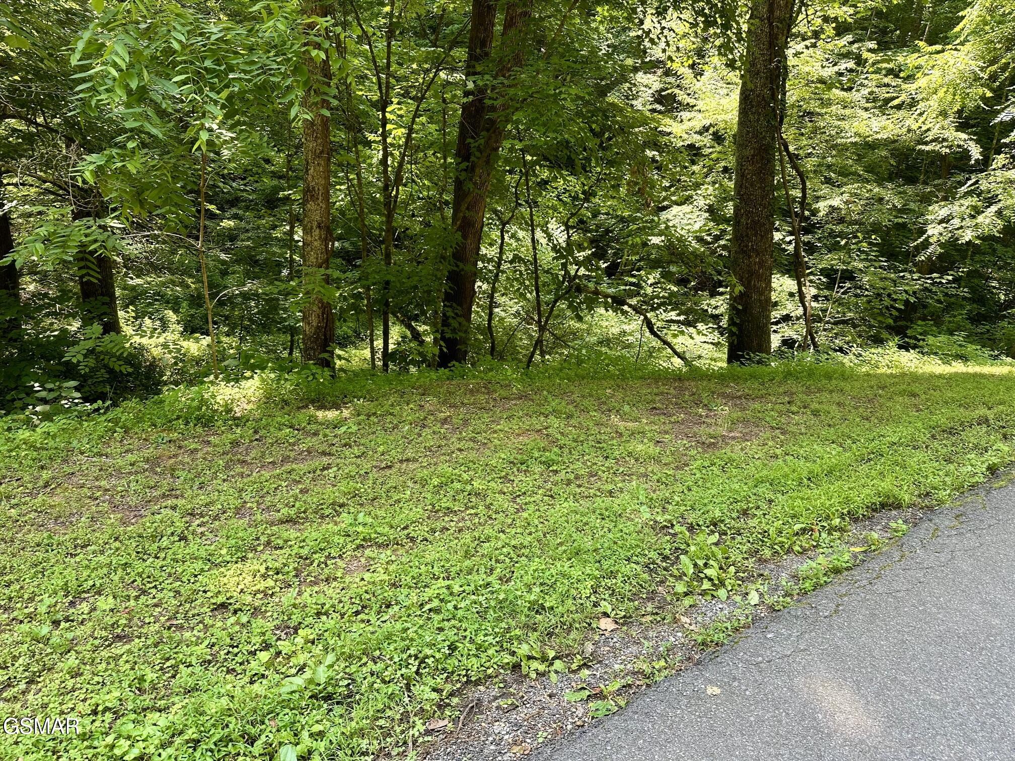 706 School House Gap Road Sevierville, TN 37876 - Photo 1 of 5