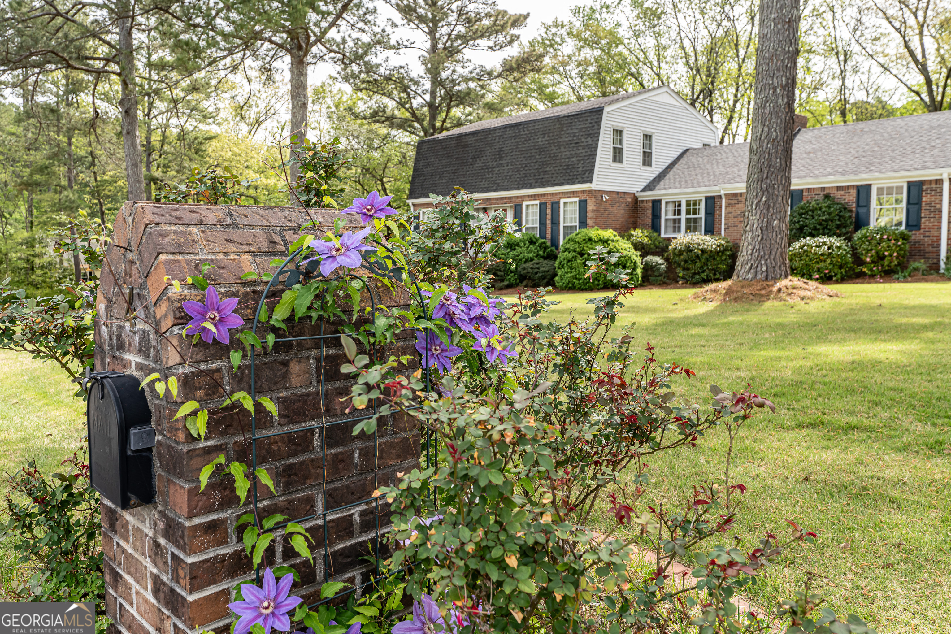 4 Windemere Lane Southeast Rome, GA 30161 - Photo 60 of 60 a view of a yard with plants and large trees