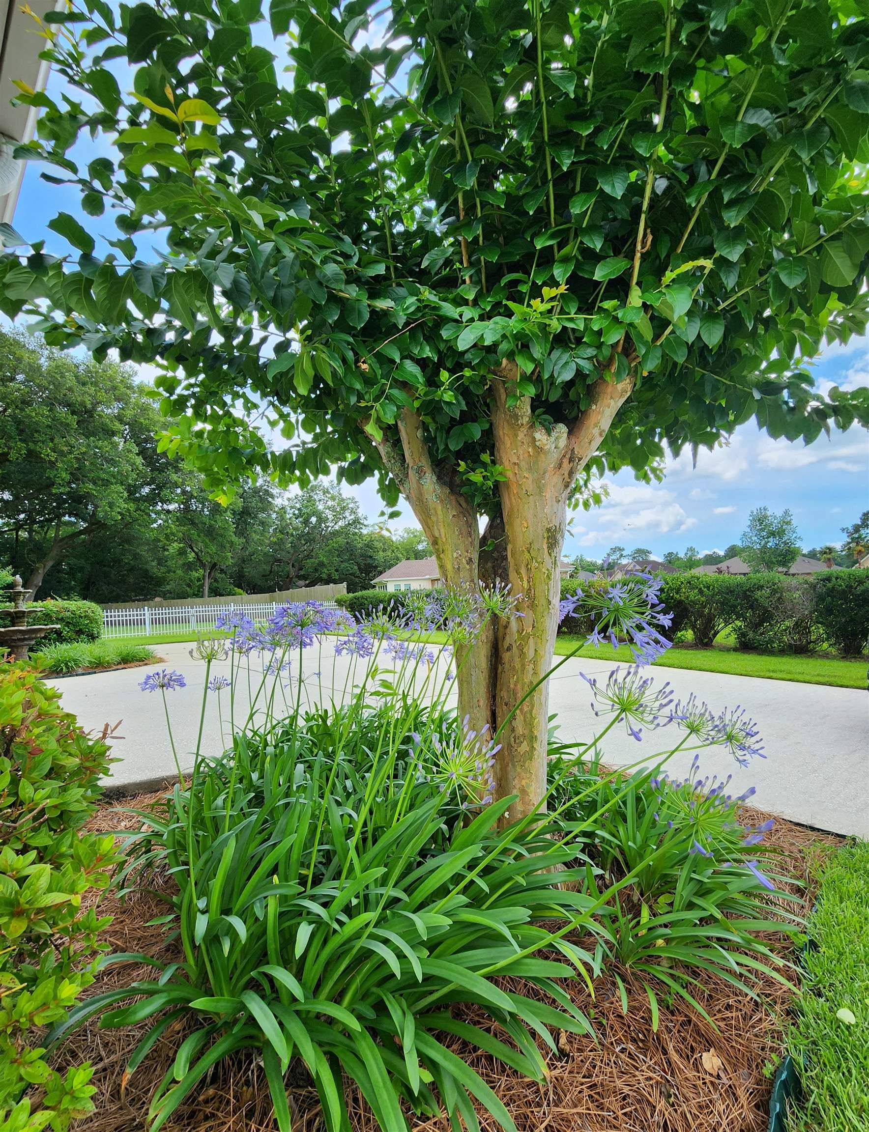 11111 Niblick Loop Fairhope, AL 36532 - Photo 26 of 33