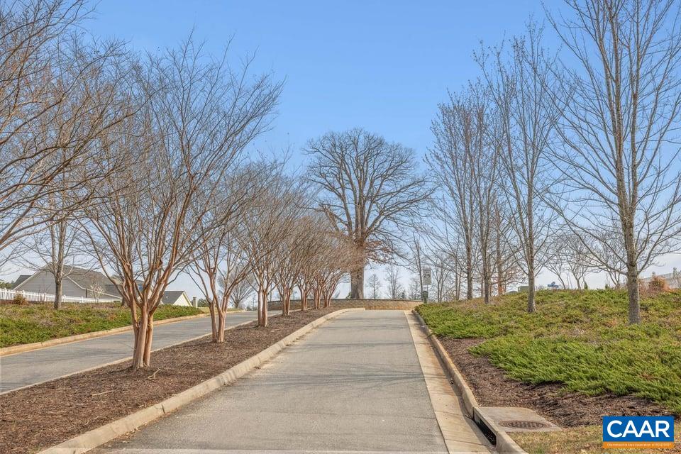 89 Crape Myrtle Drive Palmyra, VA 22963 - Photo 34 of 36 a view of backyard with green space