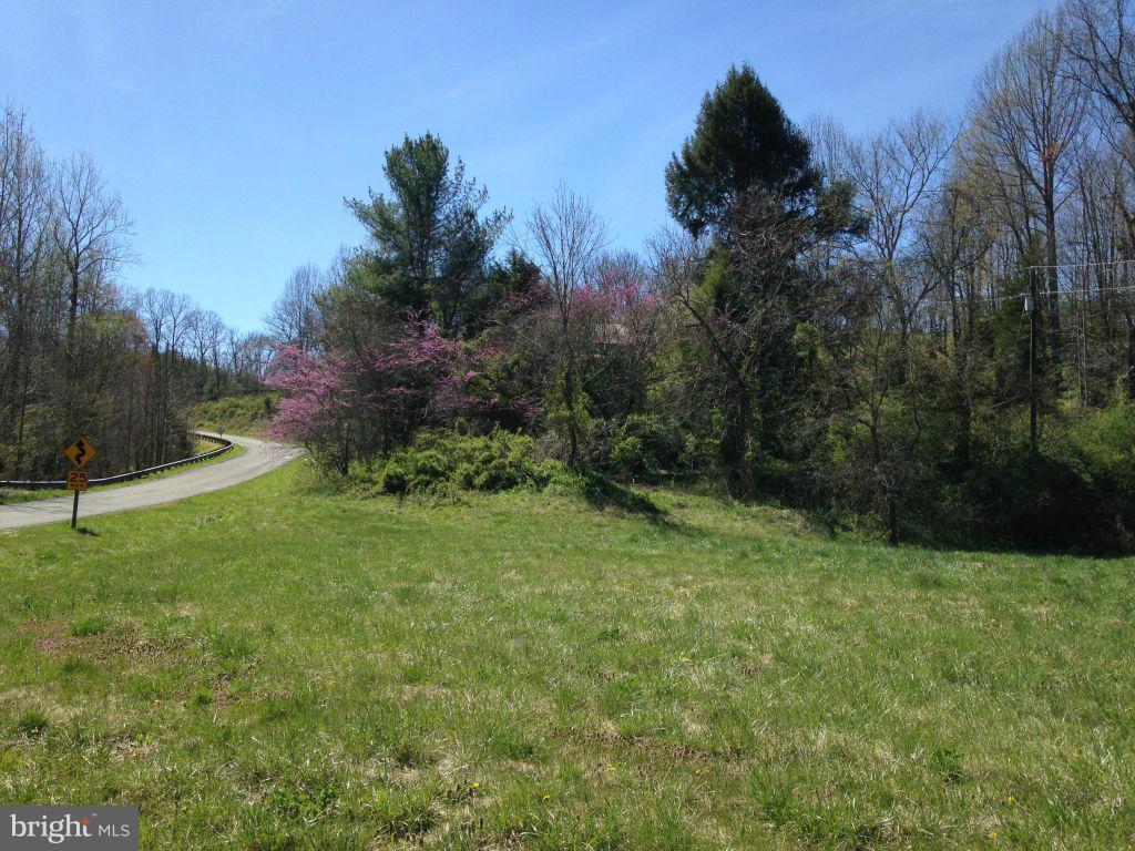 13245 Hazel River Road Rixeyville, VA 22737 - Photo 8 of 22 View