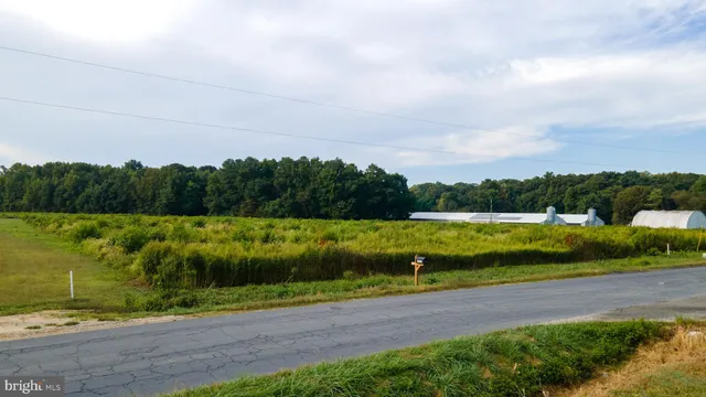$115,000 | Lot 2 Blanchard Road, Bridgeville, DE 19933
