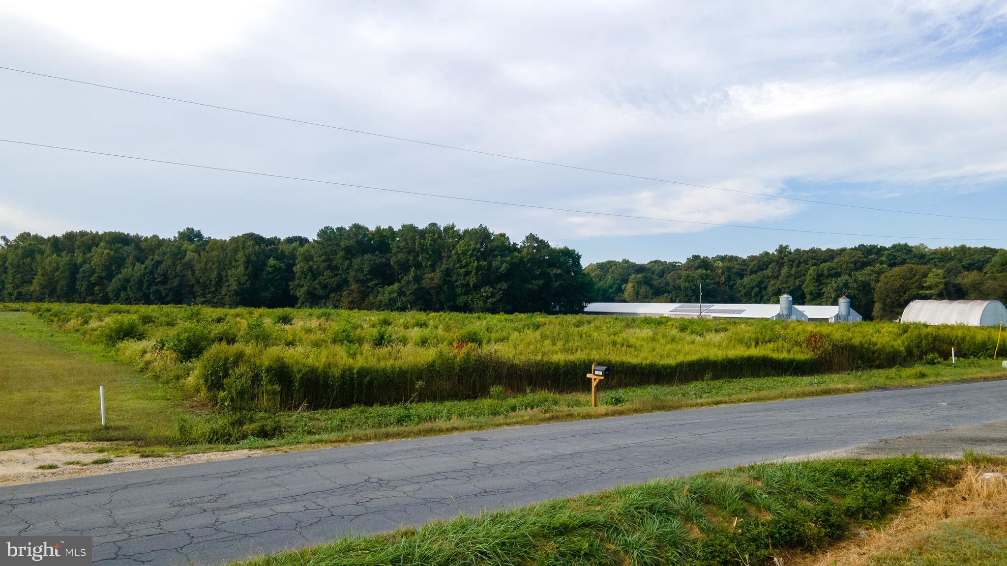 Lot 2 Blanchard Road Bridgeville, DE 19933 - Photo 4 of 4 a view of a garden with an outdoor space