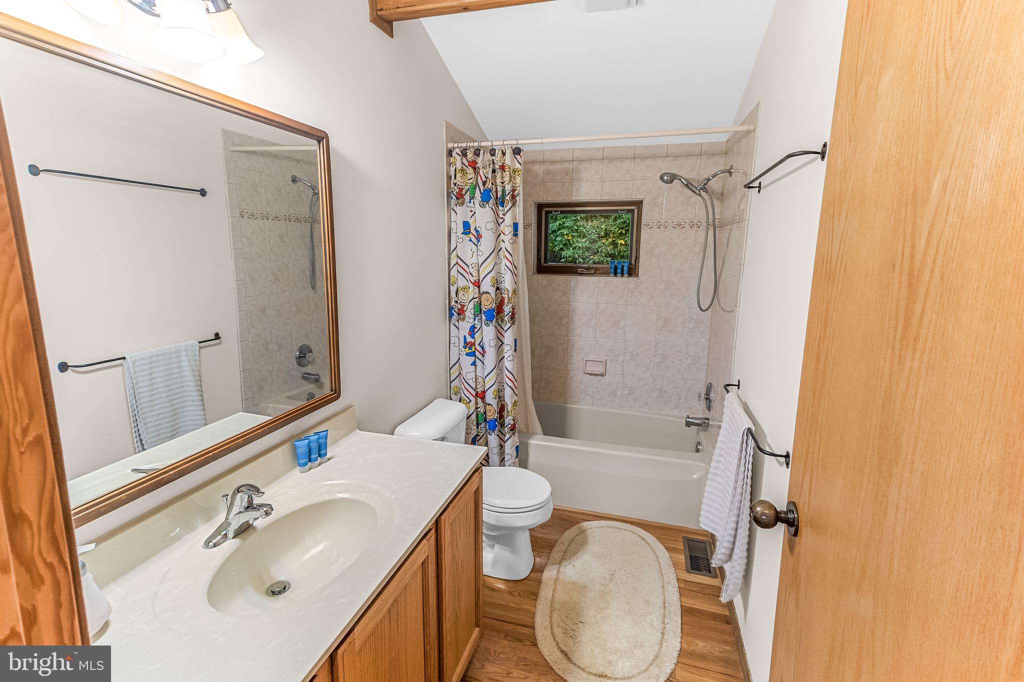105 Rabbits Rest Lane Shepherdstown, WV 25443 - Photo 30 of 42 a bathroom with a sink a toilet and shower
