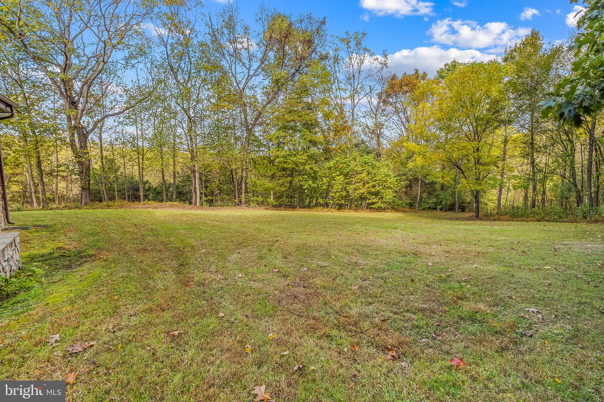 105 Rabbits Rest Lane Shepherdstown, WV 25443 - Photo 37 of 42 a view of a field with trees in the background