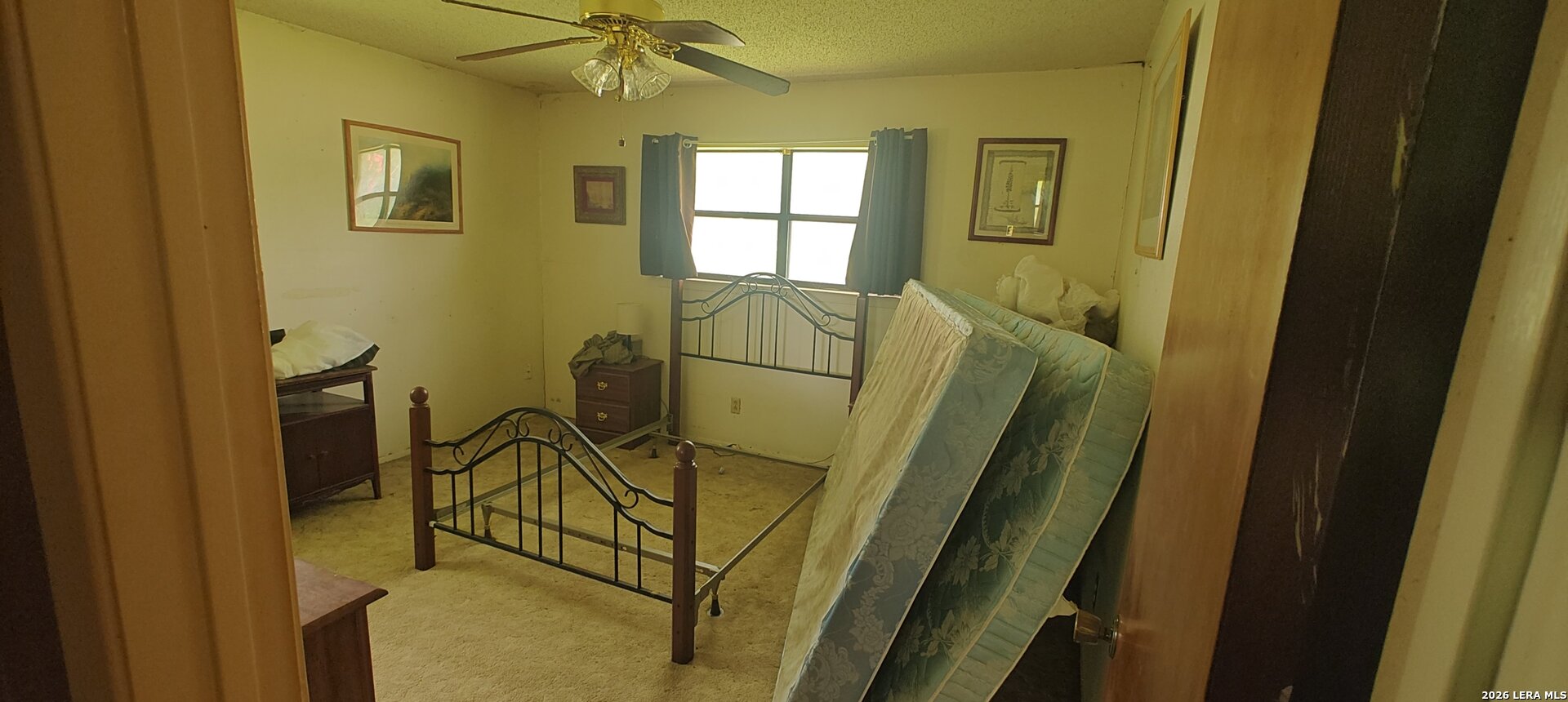 807 Elizabeth Seguin, TX 78155 - Photo 8 of 14