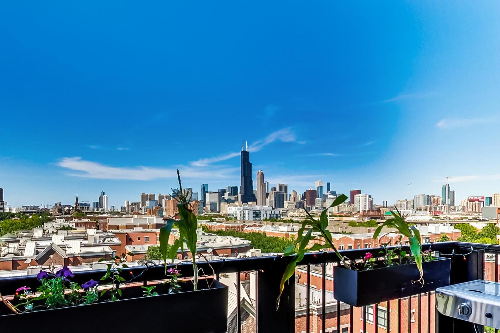 811 West 15th Place, Unit 606 Chicago, IL 60608 - Photo 10 of 22