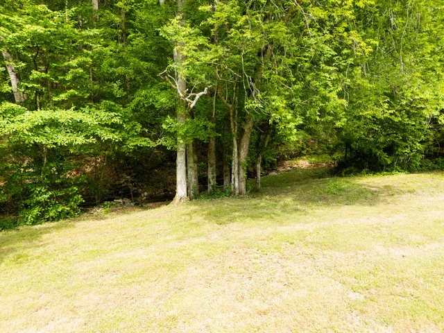 $1,450,000 | 0 Taylors Store Road, Hampshire, TN 38461