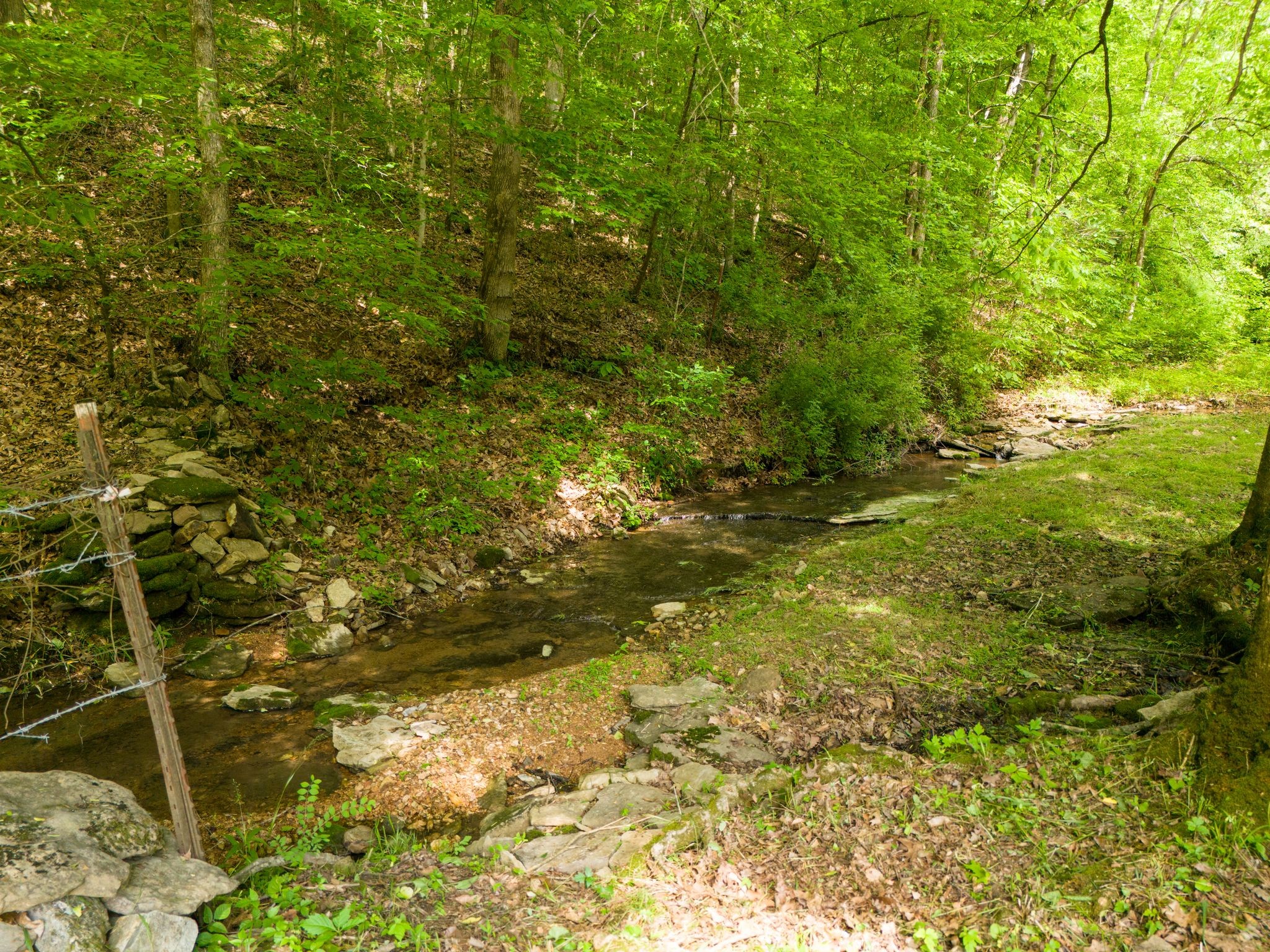 0 Taylors Store Road Hampshire, TN 38461 - Photo 19 of 44