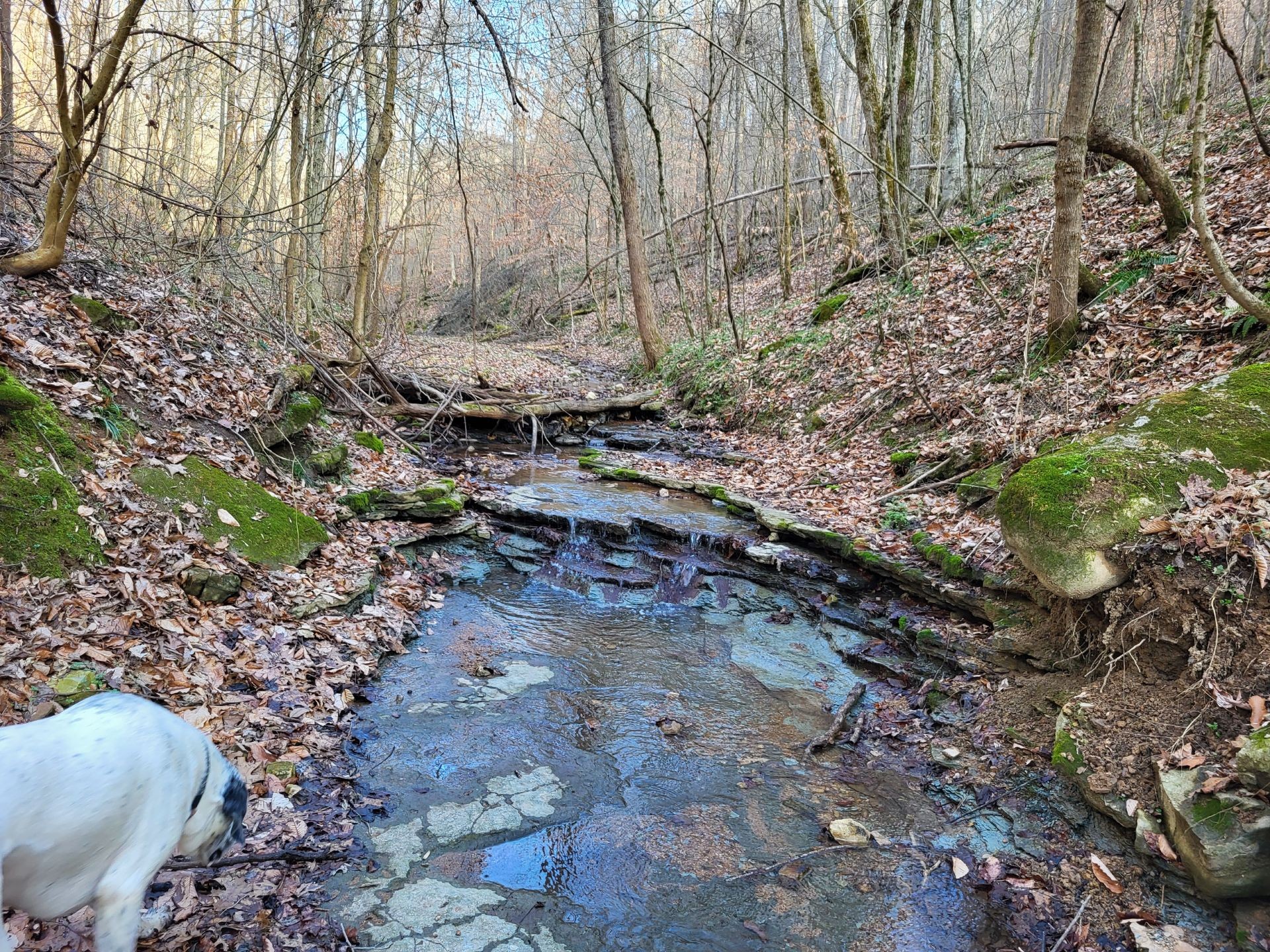 0 Taylors Store Road Hampshire, TN 38461 - Photo 20 of 44