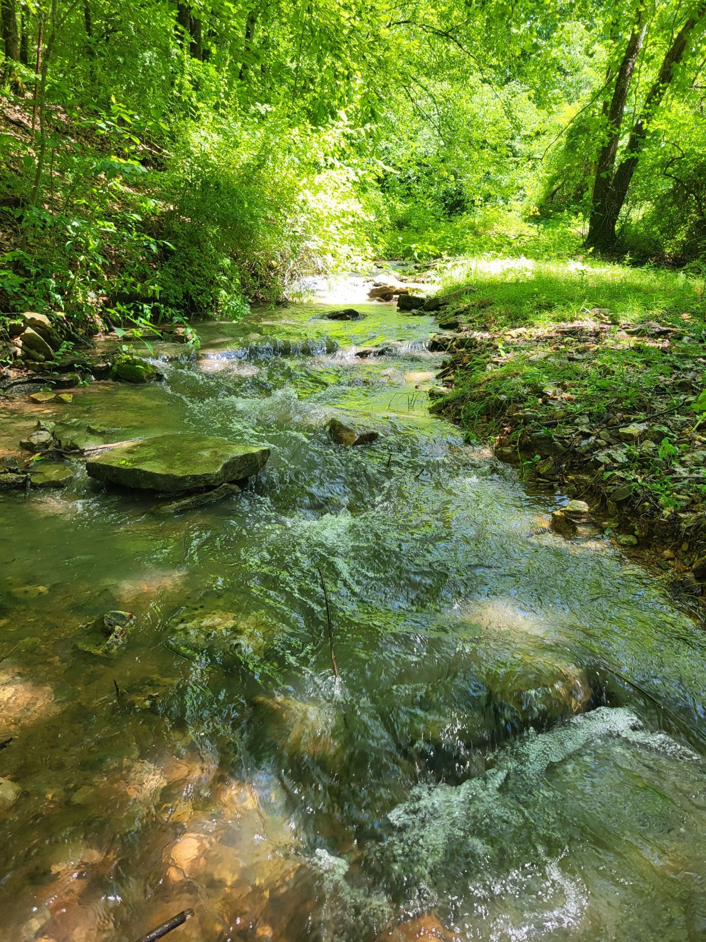 0 Taylors Store Road Hampshire, TN 38461 - Photo 21 of 44