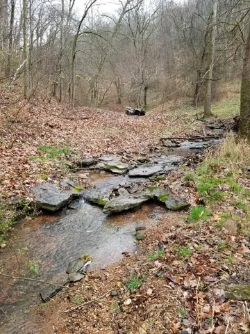 $1,450,000 | 0 Taylors Store Road, Hampshire, TN 38461