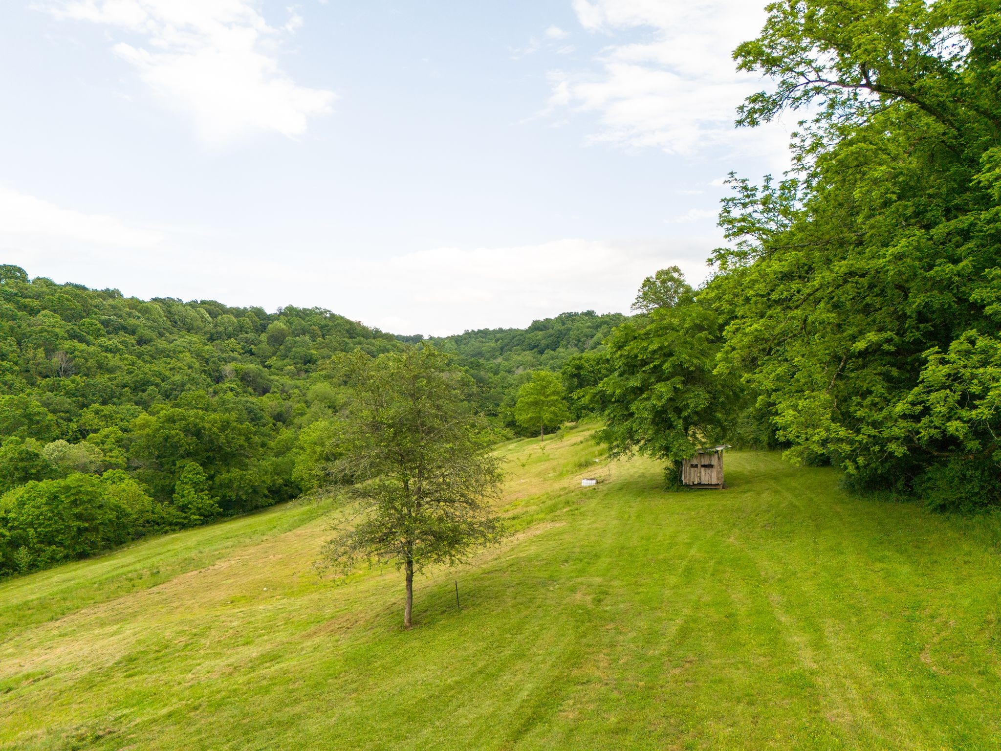 0 Taylors Store Road Hampshire, TN 38461 - Photo 24 of 44