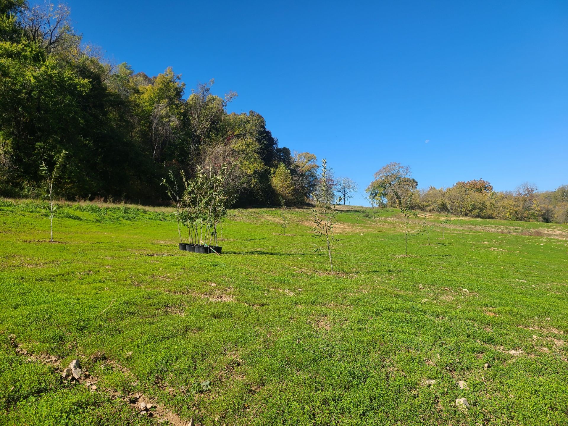 0 Taylors Store Road Hampshire, TN 38461 - Photo 25 of 44