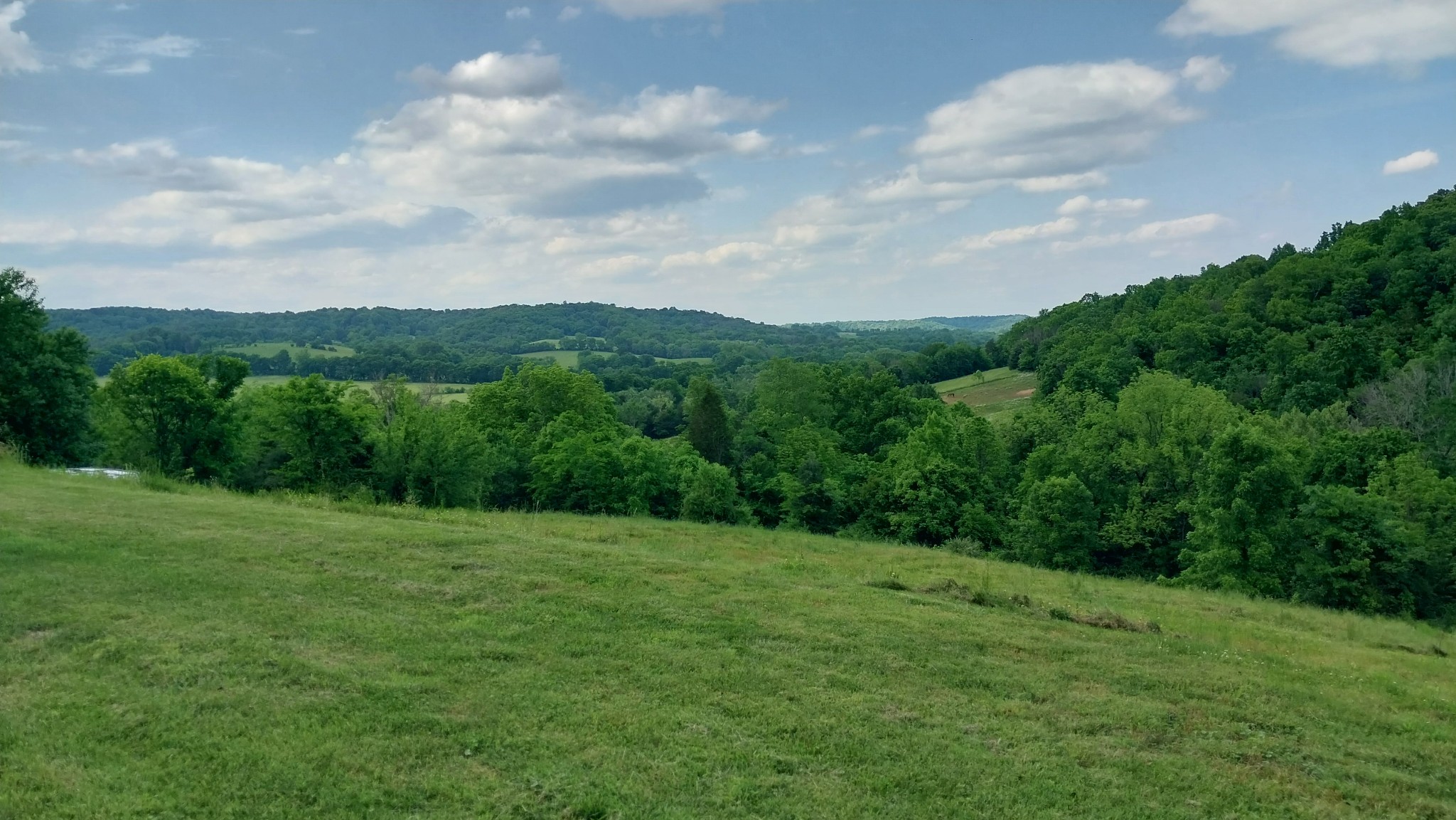 0 Taylors Store Road Hampshire, TN 38461 - Photo 27 of 44