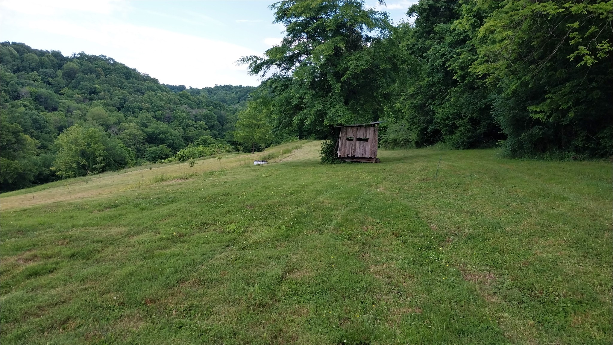 0 Taylors Store Road Hampshire, TN 38461 - Photo 28 of 44