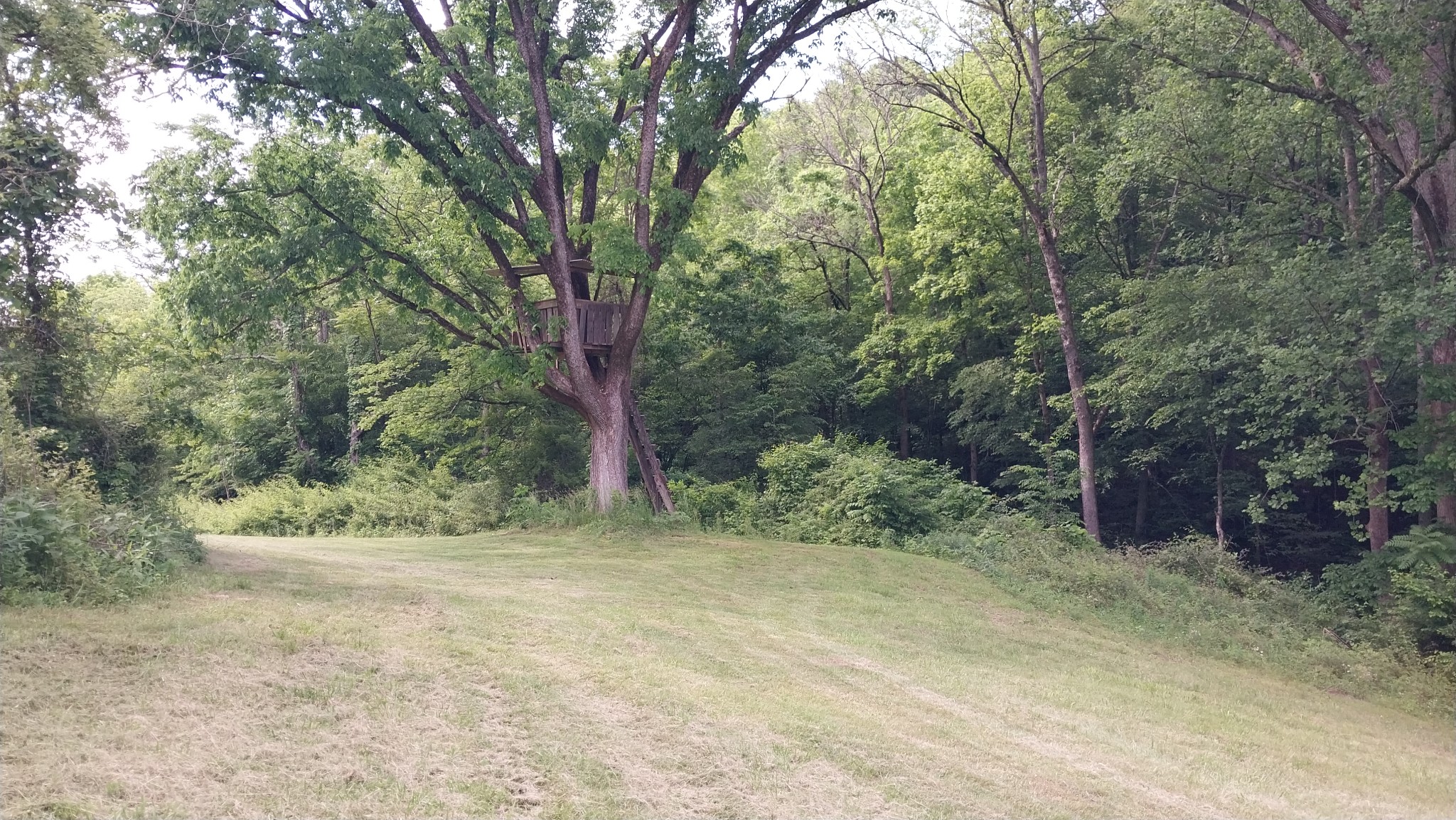 0 Taylors Store Road Hampshire, TN 38461 - Photo 29 of 44