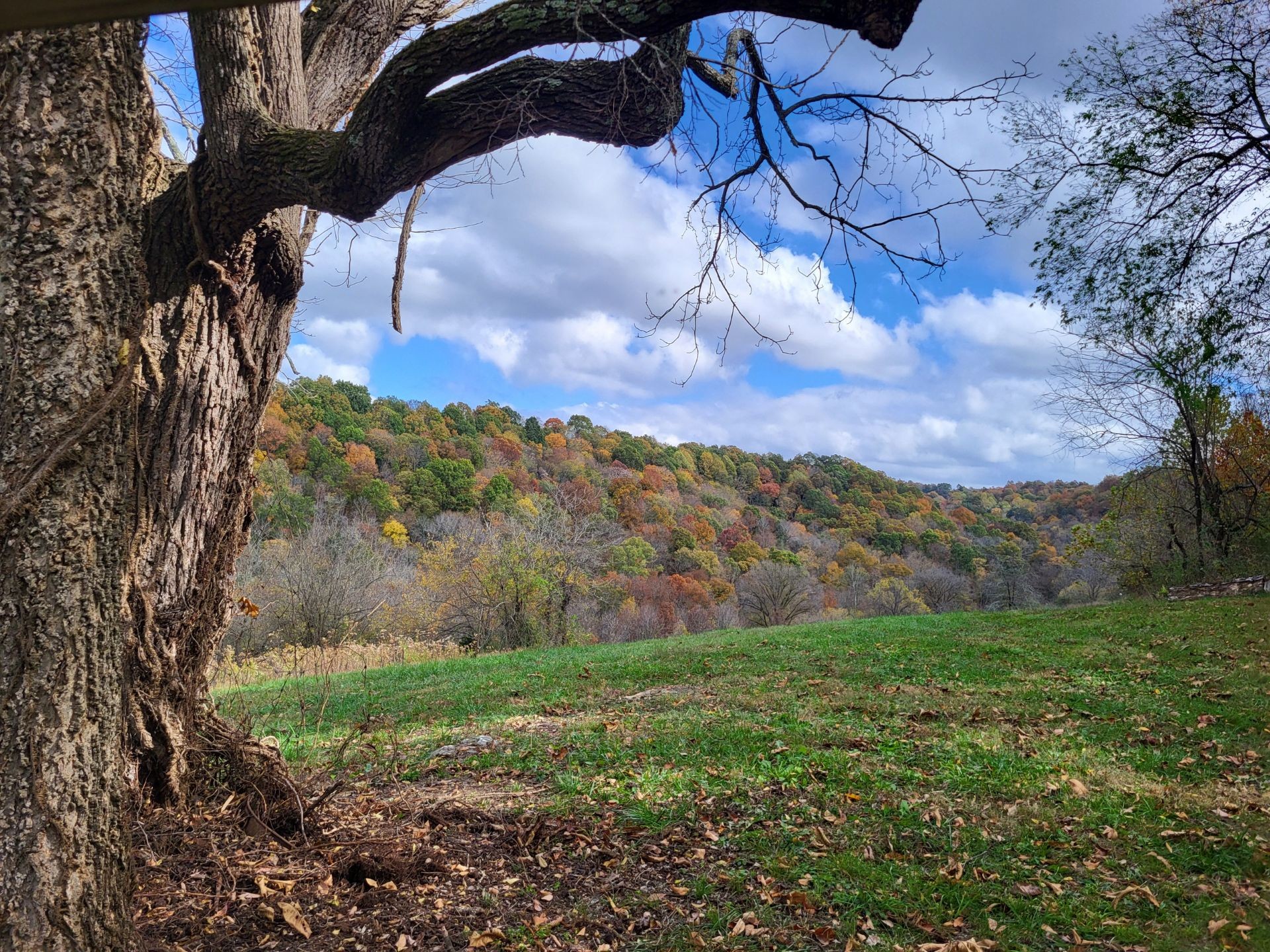 0 Taylors Store Road Hampshire, TN 38461 - Photo 30 of 44