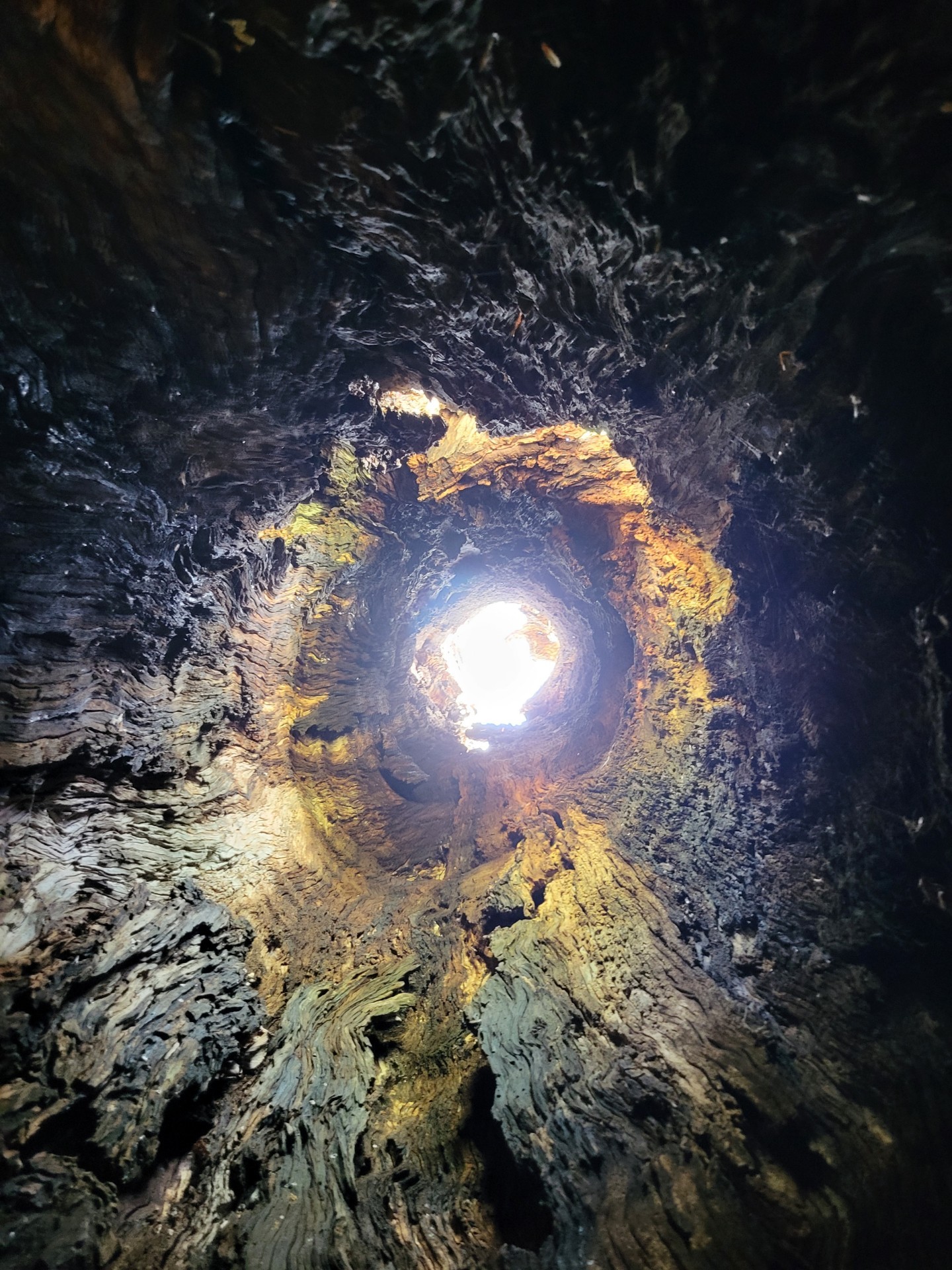 0 Taylors Store Road Hampshire, TN 38461 - Photo 33 of 44